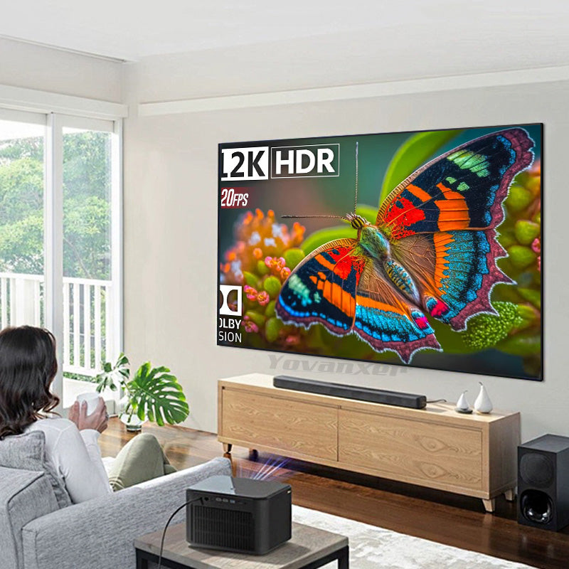 150 Inch FIXED Black DIAMOND WALL PROJECTION SCREEN | ISH Kuwait