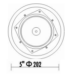 CEILING SPEAKER