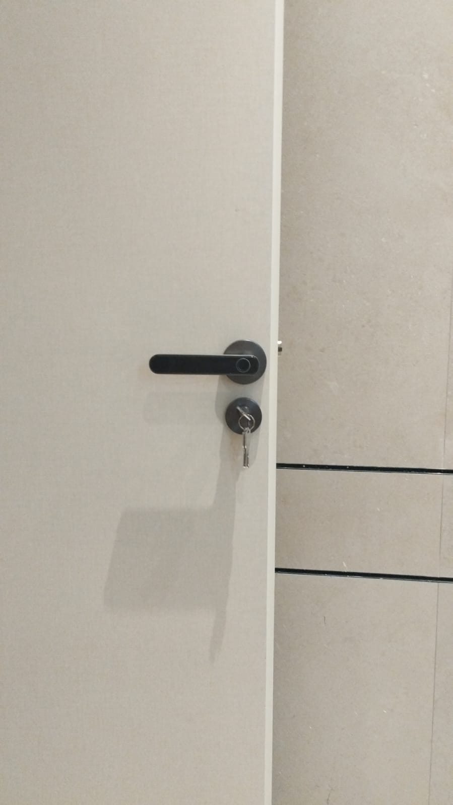 SMART LEVER DOOR LOCK