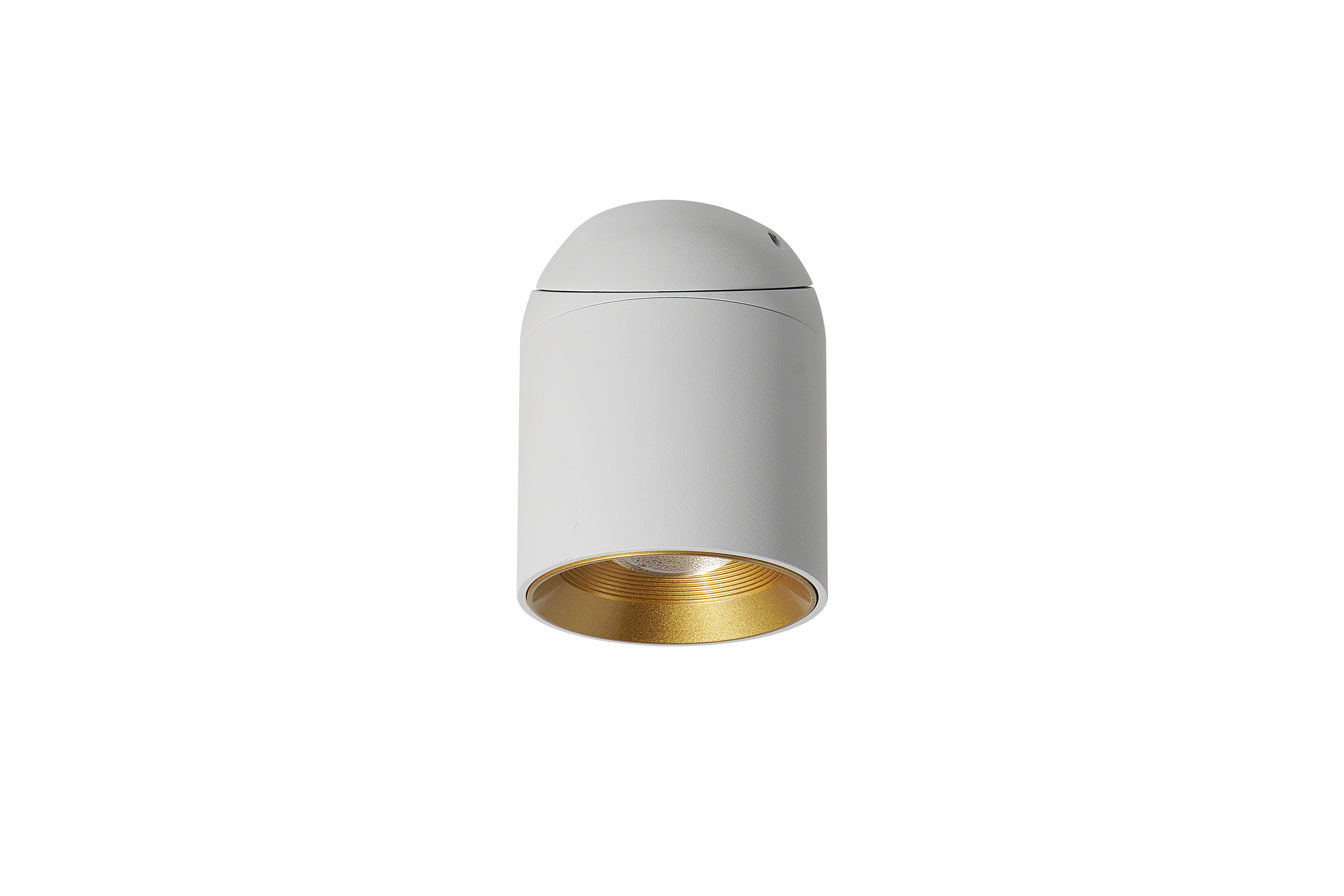 CEILING MOUNTED ADJUSTABLE LIGHT - 12W