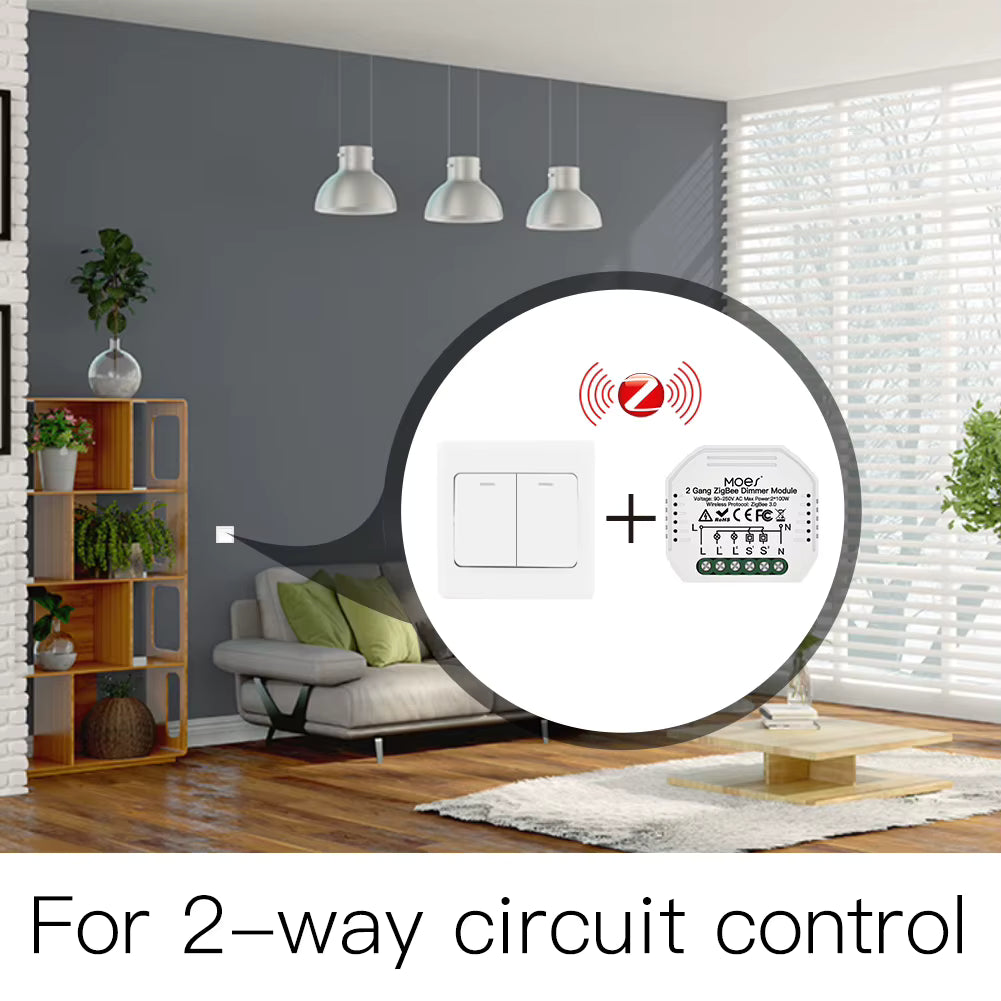 ZIGBEE 2 GANG HIDDEN MODULE