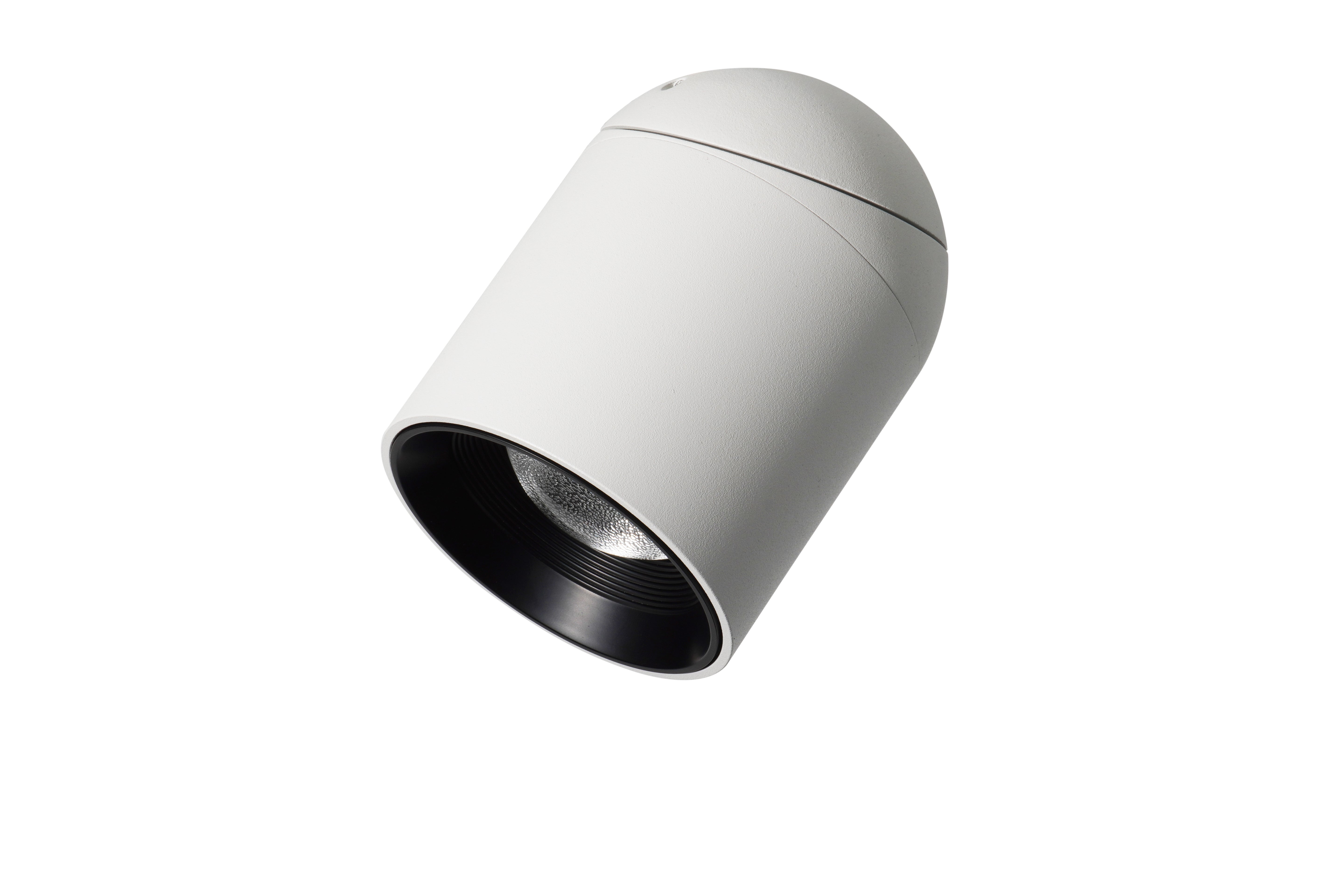 CEILING MOUNTED ADJUSTABLE LIGHT - 12W