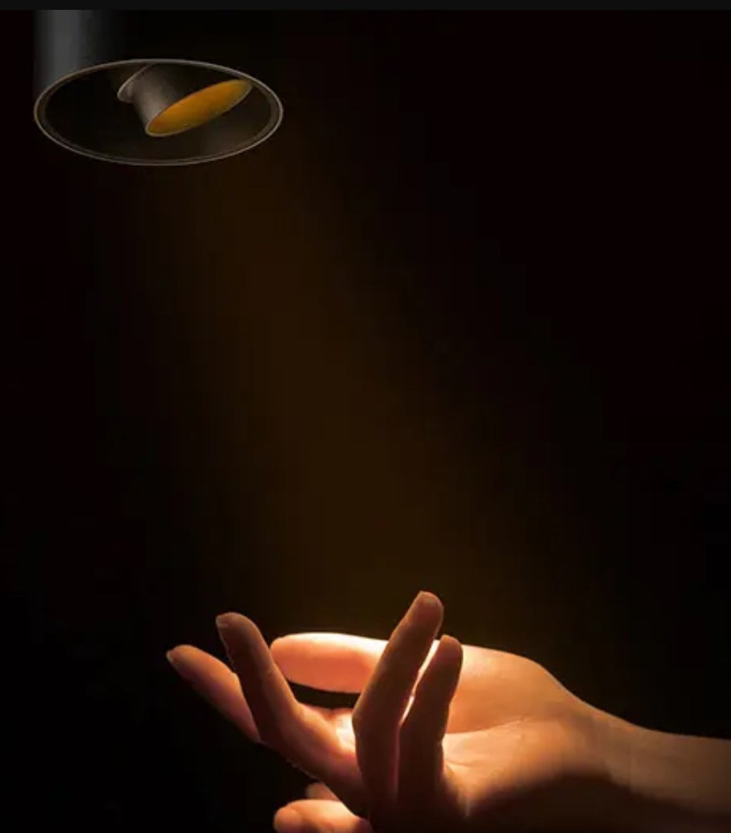CEILING MOUNTED ROUND - ADJUSTABLE