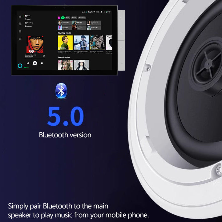 BLUETOOTH SECONDRY/SLAVE CEILING SPEAKER | ISH Kuwait