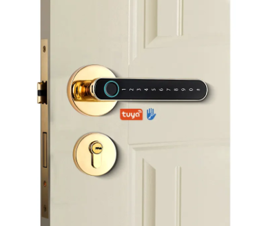 SMART LEVER DOOR LOCK