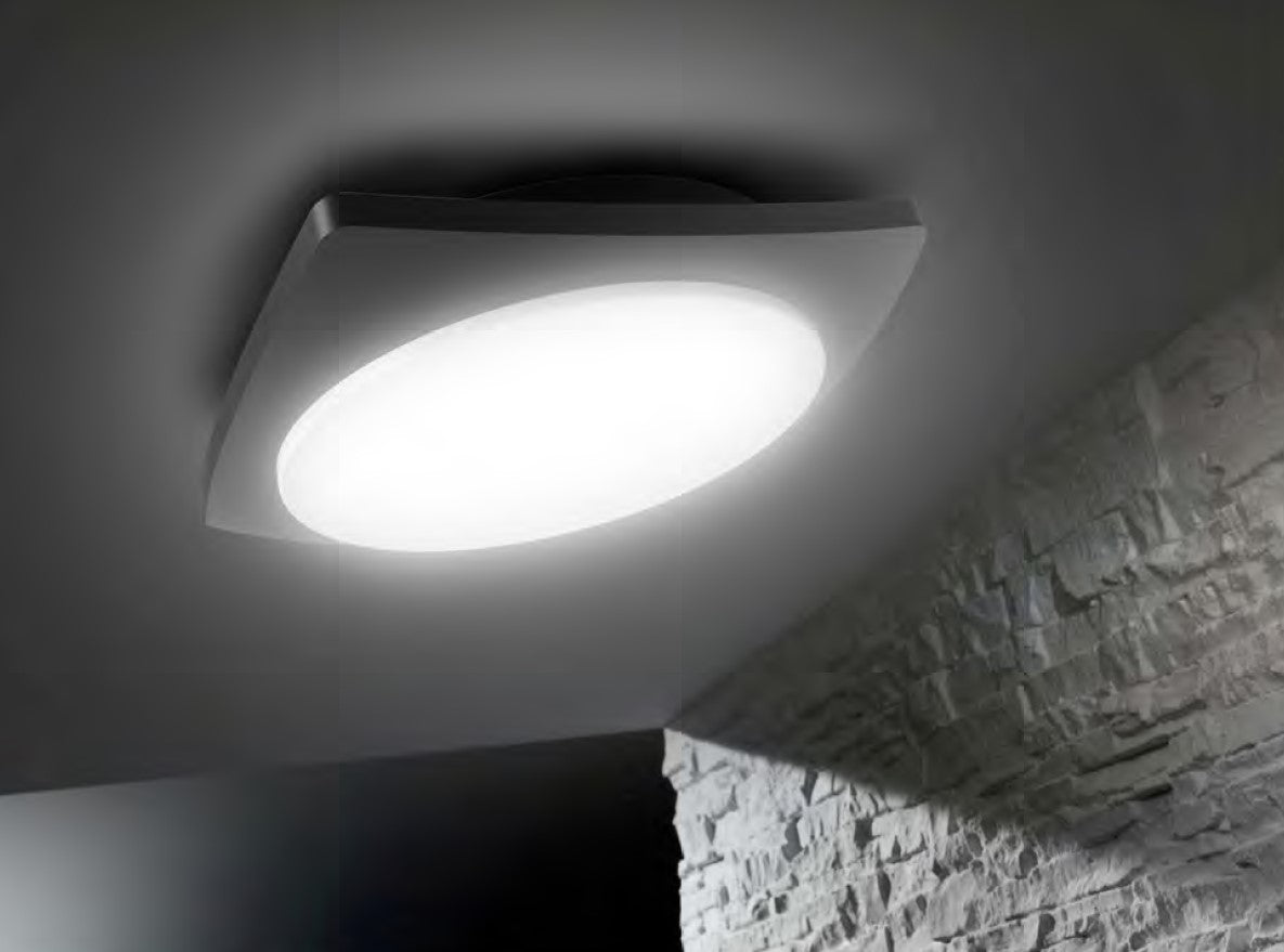 WALL/CEILING MOUNTED FLOOD LIGHT