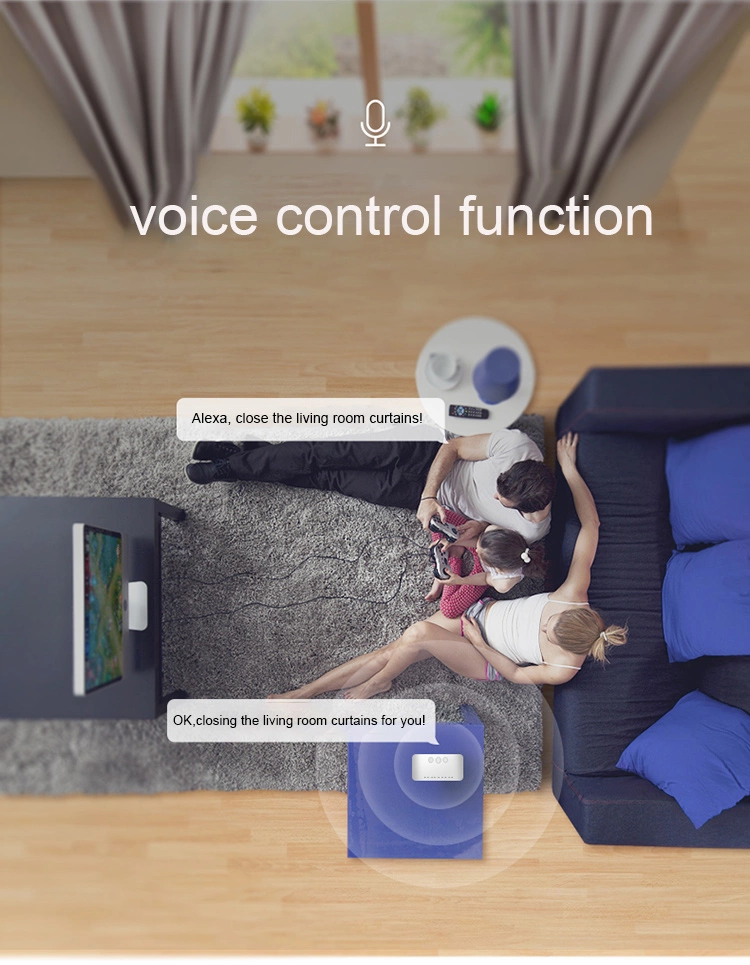 SMART CURTAIN MOTOR