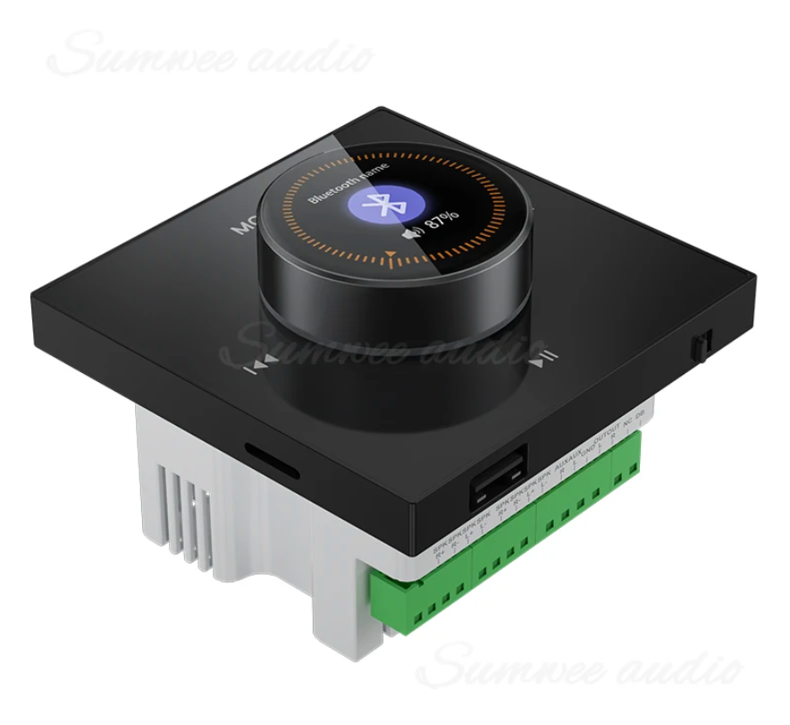 SIMPLIFIED MULTI-MEDIA AMPLIFIER SWITCH