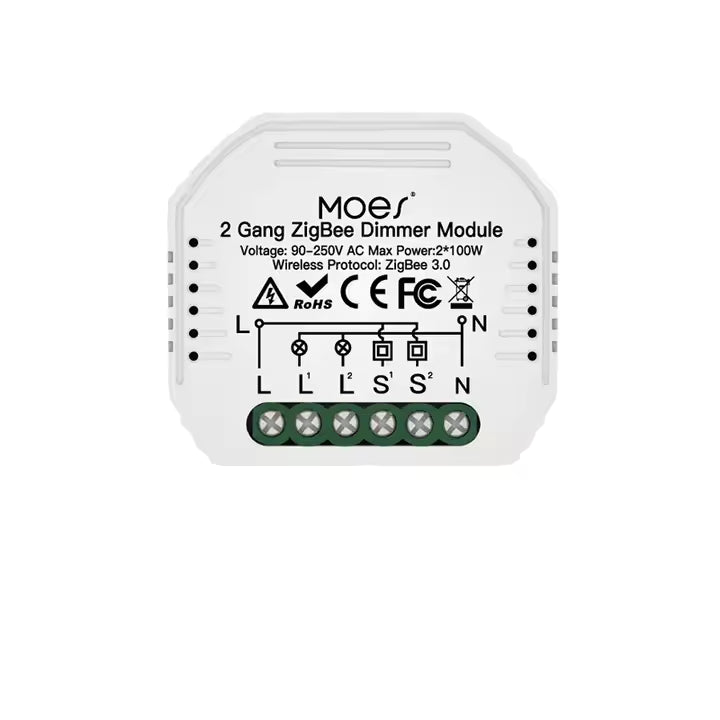 ZIGBEE 2 GANG HIDDEN MODULE