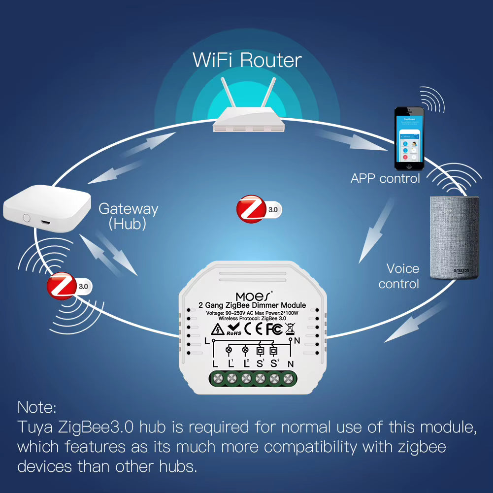 ZIGBEE 2 GANG HIDDEN MODULE