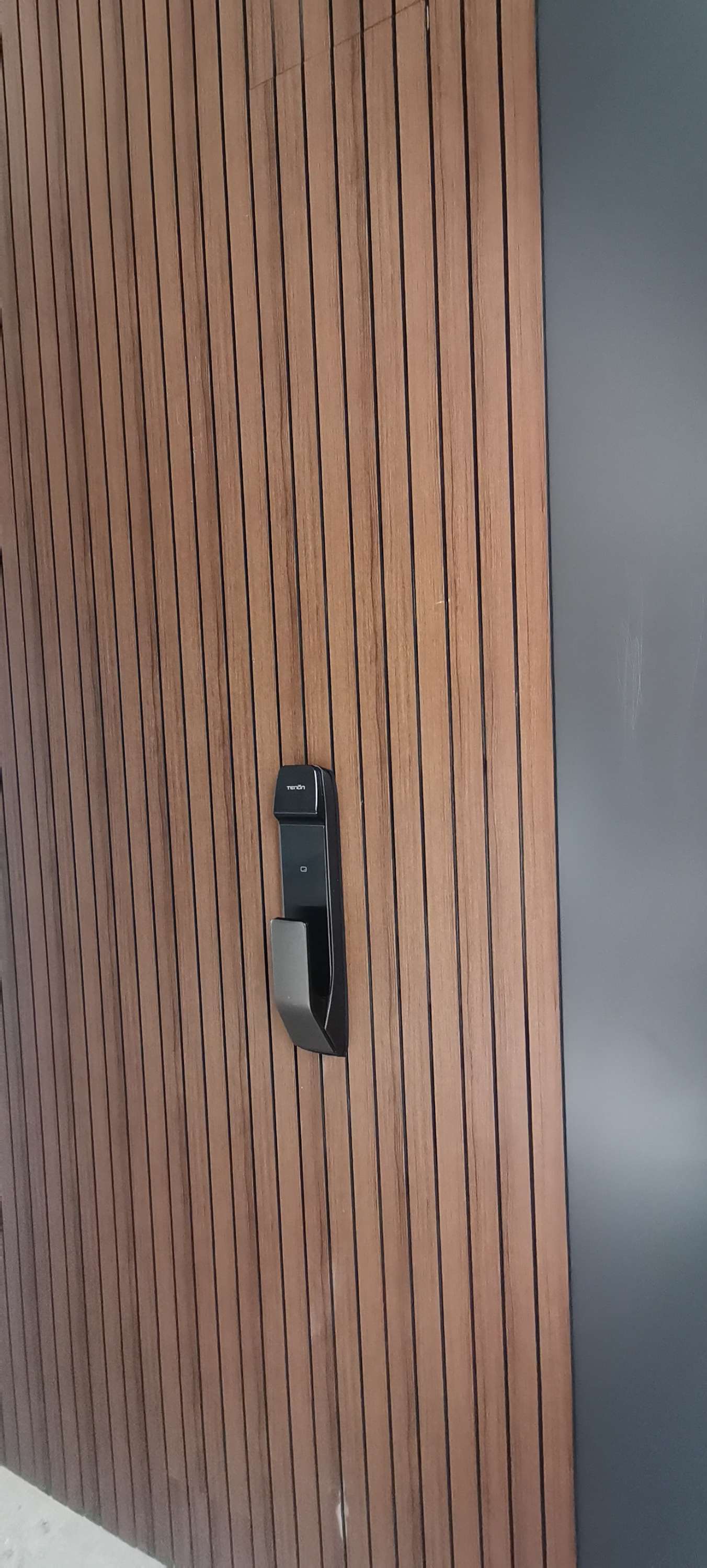 PUSH PULL SMART ELECTRIC DOOR LOCK