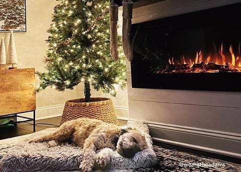 ELECTRIC SMART FIRE PLACE