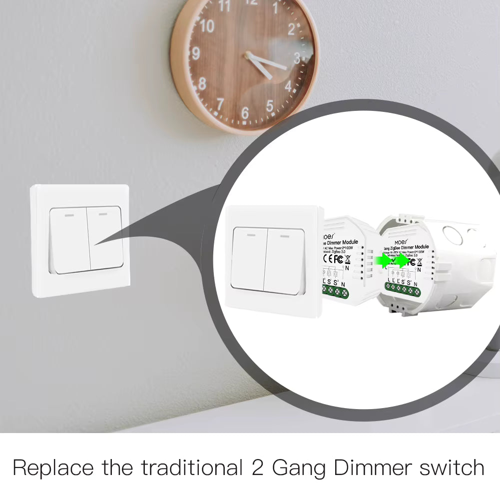 ZIGBEE 2 GANG HIDDEN MODULE