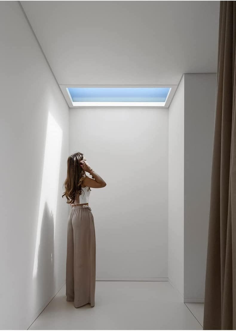 SKY LIGHT 300*600mm