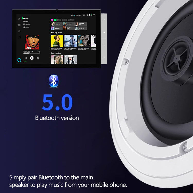 BLUETOOTH MASTER CEILING SPEAKER | ISH Kuwait